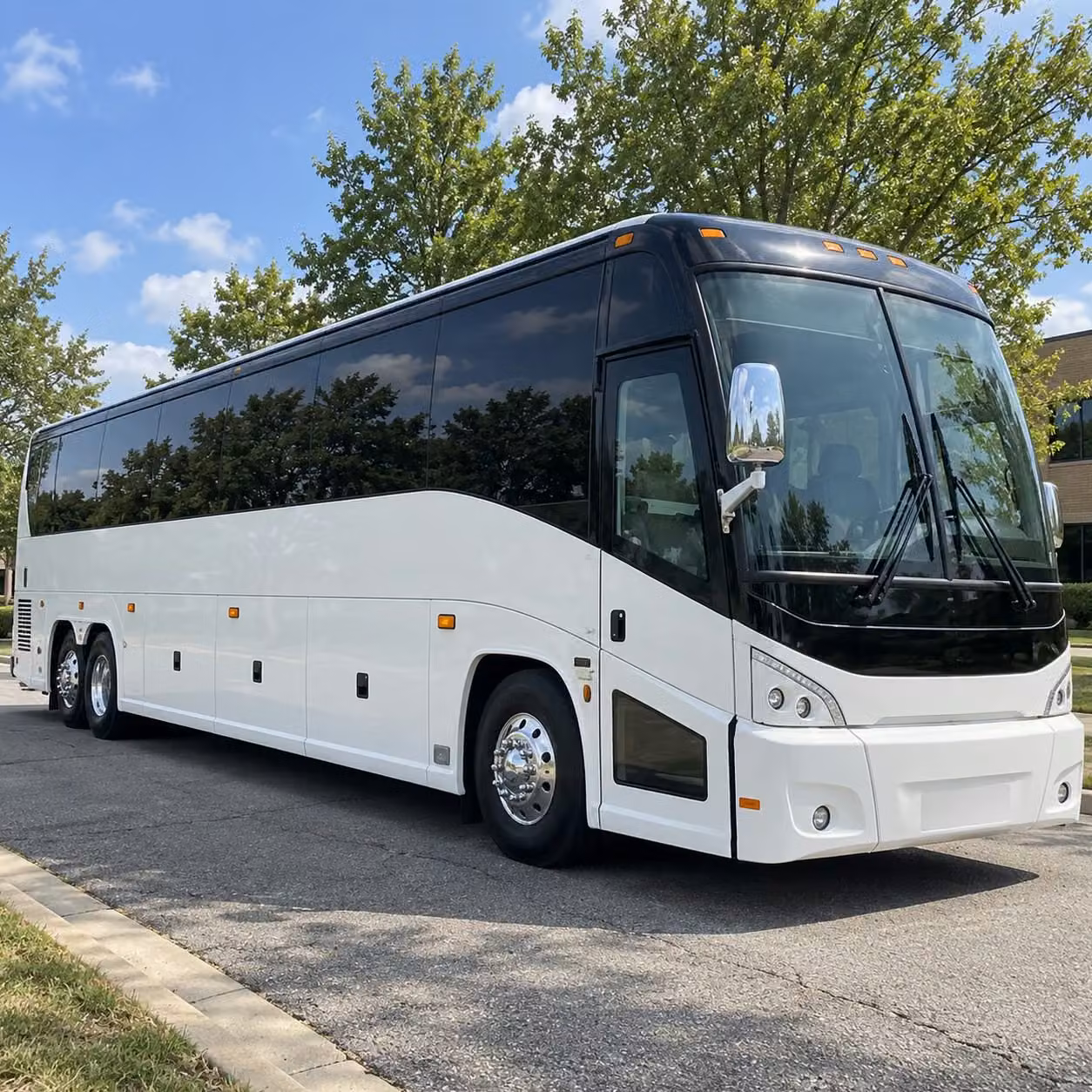 concert festival and private event transportation in palm coast