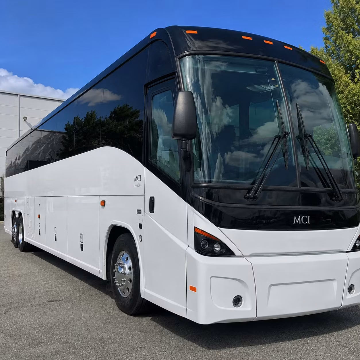 palm coast cruise transfers and multi stop airport shuttle packages