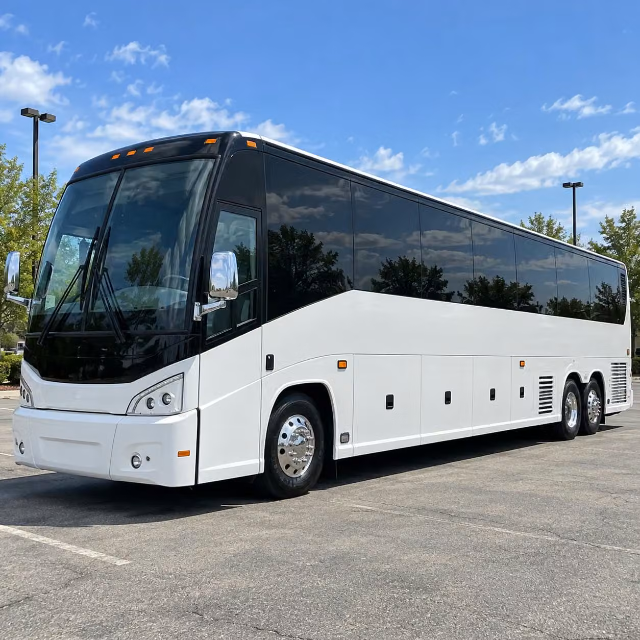transporting palm coast students to the museum of arts and sciences in daytona beach